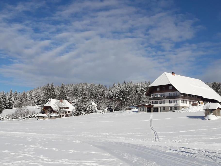 Haus Lucia, Mit Pool Und Sauna, Appartment 4 Schönwalde Exteriör bild