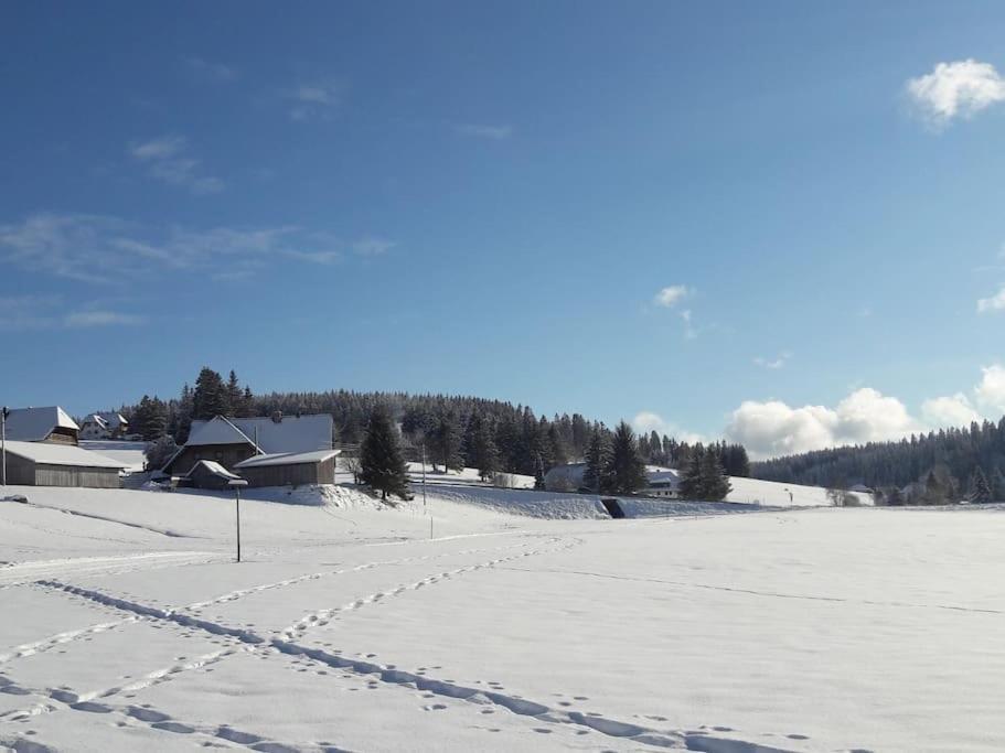 Haus Lucia, Mit Pool Und Sauna, Appartment 4 Schönwalde Exteriör bild